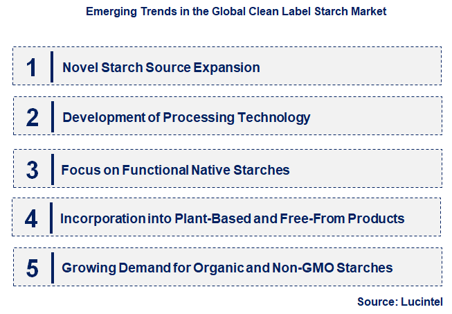 Emerging Trends in the Clean Label Starch Market